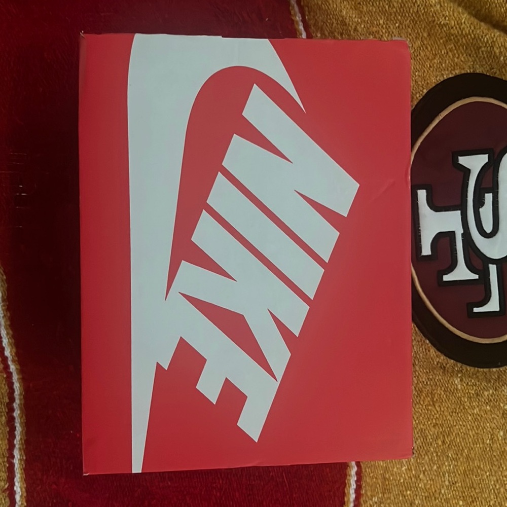Panda Dunks (Used) 4Y